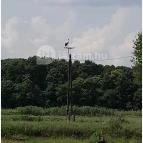 Petesmalmi Vidrapark Lábod - Egyéb