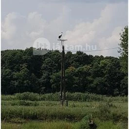 Petesmalmi Vidrapark, Lábod - Egyéb