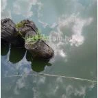 Petesmalmi Vidrapark Lábod - Egyéb