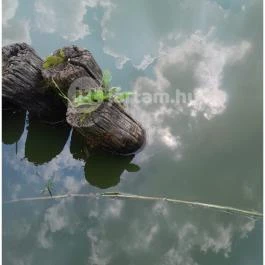 Petesmalmi Vidrapark, Lábod - Egyéb