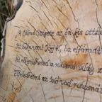 Petesmalmi Vidrapark Lábod - Egyéb