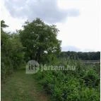 Petesmalmi Vidrapark Lábod - Egyéb