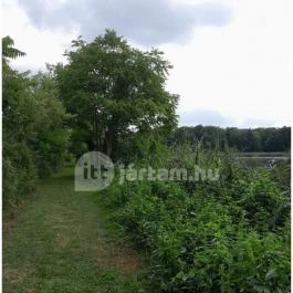 Petesmalmi Vidrapark, Lábod - Egyéb