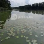 Petesmalmi Vidrapark Lábod - Egyéb