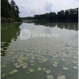 Petesmalmi Vidrapark, Lábod - Egyéb