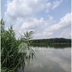 Petesmalmi Vidrapark Lábod - Egyéb