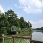 Petesmalmi Vidrapark Lábod - Egyéb