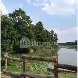 Petesmalmi Vidrapark, Lábod - Egyéb