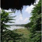 Petesmalmi Vidrapark Lábod - Egyéb