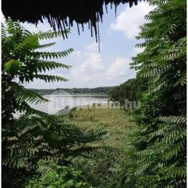 Petesmalmi Vidrapark, Lábod - Egyéb