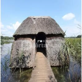 Petesmalmi Vidrapark, Lábod - Egyéb