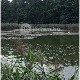 Petesmalmi Vidrapark, Lábod - Egyéb