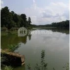 Petesmalmi Vidrapark Lábod - Egyéb