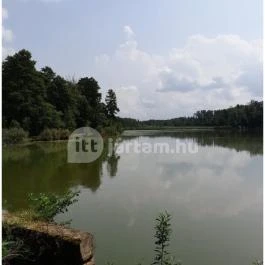 Petesmalmi Vidrapark, Lábod - Egyéb