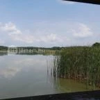 Petesmalmi Vidrapark Lábod - Egyéb