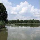 Petesmalmi Vidrapark Lábod - Egyéb