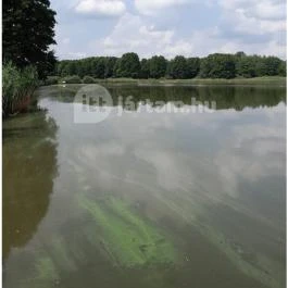 Petesmalmi Vidrapark, Lábod - Egyéb