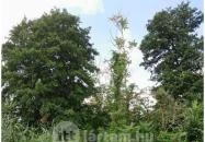 Petesmalmi Vidrapark Lábod Petesmalmi Vidrapark Lábod