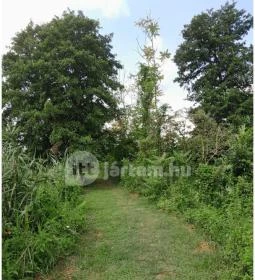 Petesmalmi Vidrapark