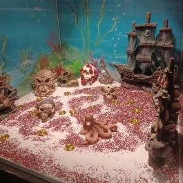 Pirate Empire - A Kalóz Birodalom Budapest - Egyéb