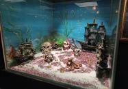 Pirate Empire - A Kalóz Birodalom Budapest