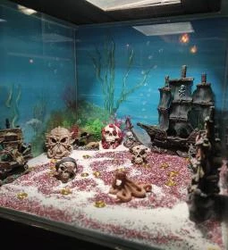 Pirate Empire - A Kalóz Birodalom