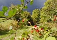 Prédikálószéki-kilátó Dömös