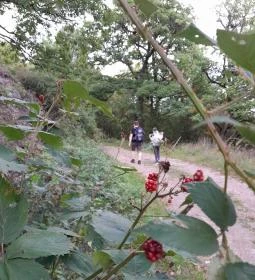 Prédikálószéki-kilátó