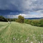 Prédikálószéki-kilátó Dömös - Egyéb