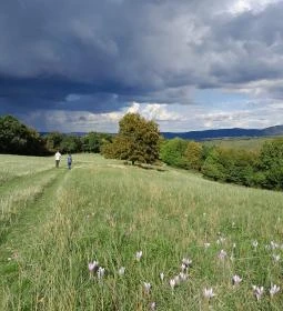 Prédikálószéki-kilátó