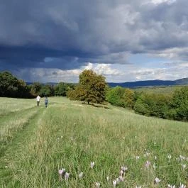 Prédikálószéki-kilátó, Dömös - Egyéb
