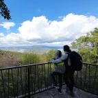 Prédikálószéki-kilátó Dömös - Egyéb