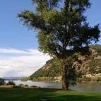 Prédikálószéki-kilátó Dömös - Egyéb