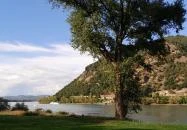 Prédikálószéki-kilátó Dömös