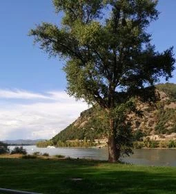 Prédikálószéki-kilátó