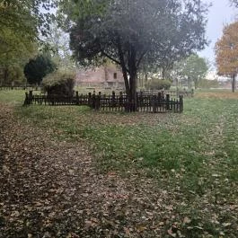 Rádligeti Árpád-kori romtemplom, Balatonlelle - Külső kép