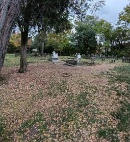 Rádligeti Árpád-kori romtemplom