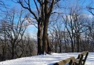 Rezső-körút Dobogókő