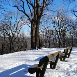 Rezső-körút, Dobogókő - Egyéb