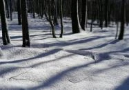 Rezső-körút Dobogókő