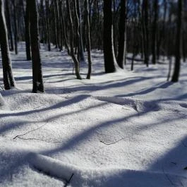 Rezső-körút, Dobogókő - Egyéb