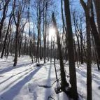 Rezső-körút Dobogókő - Egyéb