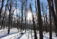 Rezső-körút Dobogókő