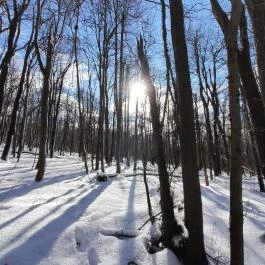 Rezső-körút, Dobogókő - Egyéb