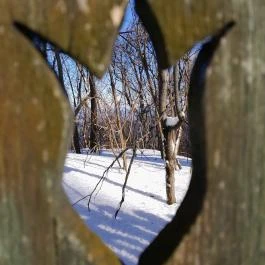 Rezső-körút, Dobogókő - Egyéb