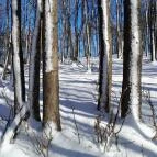 Rezső-körút Dobogókő - Egyéb