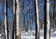 Rezső-körút Dobogókő