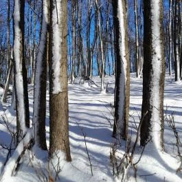 Rezső-körút, Dobogókő - Egyéb