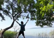 Sajkodi-öböl Tihany