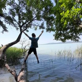 Sajkodi-öböl, Tihany - Egyéb